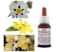 OLIO Essenziale Miscela FLOREALE Ylang Litsea Labdano Meliss Naturale Food Grade