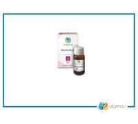 Muschio Bianco Essenza 10ml