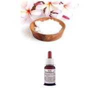 OLIO Essenziale Puro CANFORA Naturale Grado Alimentare/ Cosmetico AROMATERAPIA