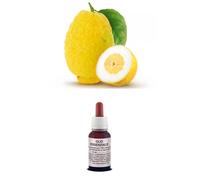 OLIO Essenziale Puro CEDRO Frutto ITALIA Grado Alimentare/Cosmetico AROMATERAPIA