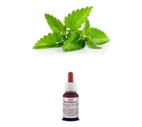 OLIO Essenziale Puro PATCHOULI Naturale USO Alimentare /Cosmetico AROMATERAPIA