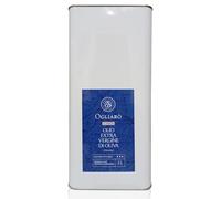 Olio evo extravergine di oliva italiano 5 lt estratto a freddo gusto fruttato