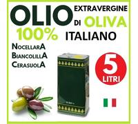 OLIO EXTRAVERGINE DI OLIVA 5 LITRI OLIO EVO NOVELLO 2025 ESTRATTO A FREDDO 5L