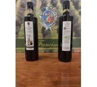 Olio Fanciulli nuovo - IGP Toscano -bottiglia da 0,75L-campagna olivicola 2024/2025