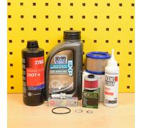 Olio Filtro Aria Candela per BMW C1 125 200 Bel-Ray Exp 10w40 Ingranaggi