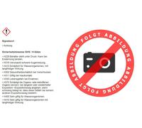 Olio Gear FANFARO Automatica ATF III 20L Inclusa Tubo Pulitore Per Vetri