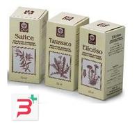 OLIO GERME GRANO 100 ML 501