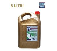 Olio Idraulico ROIL ISO VG 68 5L - Antiusura Antischiuma