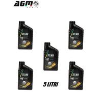 Olio motore 5 litri petronas selenia forward wr 0w30 acea c2 13881619 multigrado