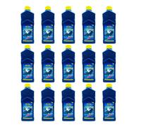 Olio motore PUTOLINE RS 959 15 LITRI Karting Go Kart 100% SINTETICO 15PT10