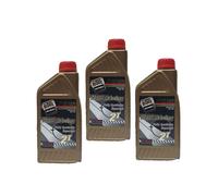 Olio Motore ROIL Hard Racing 2T 3L - JASO FD API TC 100% Sintetico