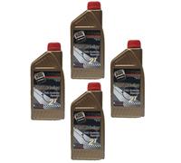 Olio Motore ROIL Hard Racing 2T 4L - JASO FD API TC 100% Sintetico