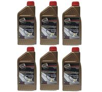 Olio Motore ROIL Hard Racing 2T 6L - JASO FD API TC 100% Sintetico