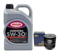 Olio Motore Set 5W-30 5 Litro + Filtro per Audi 200 A1 A3 VW Lupo 1.0 1.4 TFSI
