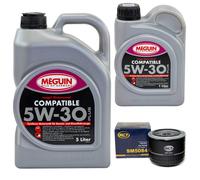 Olio Motore Set 5W-30 Plus Meguin 6 Litro + Filtro per Fiat Ducato Iveco VW 2.0