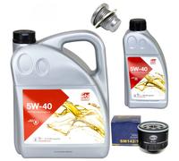 Olio Motore Set 5W-40 6 Litro + Filtro Olio Sm 142/1 + Vite per Renault Megane
