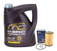 Olio Motore Set 5W30 5 Litro + Filtro Olio Sh 4786 P per Renault Kangoo Express