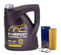 Olio Motore Set 5W30 5 Litro + Filtro Sh 4036 P per Land Rover Range Sport