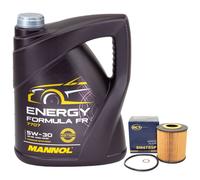 Olio Motore Set 5W30 5 Litro + Filtro Sh 4789 P per Land Rover Range III