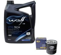 Olio Motore Set 5W40 5 Litro + Filtro Sm 109 per Rover Mini 1000 30 Kw 41 Ps