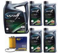 Olio Motore Set Lupo Ecotech Fe 16106 0W40 9 Litro + Filtro per BMW Rolls Royce