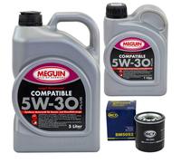 Olio Motore Set SAE 5W-30 Plus Meguin 6 Litro + Filtro Olio per VW Vans V