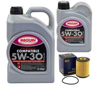 Olio Motore Set SAE 5W-30 Plus Meguin 6 Litro + Filtro per VW Phaeton Sharan 3.2