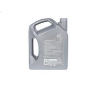 Olio motore SHELL 001G1641PL per TATA SIERRA 2 1997-2