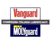 OLIO PER CATENE MOTOSEGHE