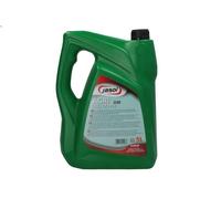 Olio per catene REVLINE AGROGOILECO5