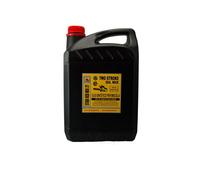 Motul Olio Motore 2 Tempi