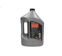 Olio per motori a 4 tempi QUICKSILVER QUICKSILVER 25W50 4L S