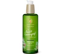 Olio secco Primavera Forest Walk
