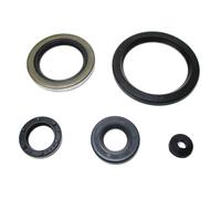 Olio Sigillare Set Motore Scatola Del Cambio Norton Atlas Commando 750 1967-1973