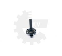 Olio Supporto Olio Motore Skv per Audi A3 A4 A6 A8 Q7 Tt Porsche Cayenne VW Cra