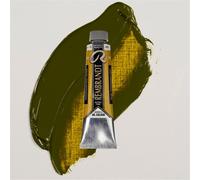 Olio Tubo 40 Ml. Serie 3 - 281 Giallo Trasparente Verde | Rembrandt