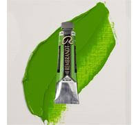 Olio Tubo 40 Ml. Serie 3 - 618 Verde Permanente Chiaro | Rembrandt