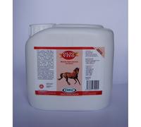 OLIO VIVO CAVALLI OS 3LT