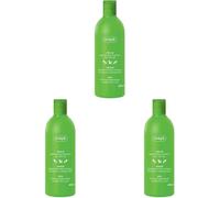 Oliva Champú - 400 Ml (Confezione da 3)