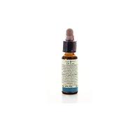 OLIVE 10ML DILEO