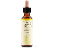 Bach Olive