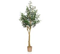 OLIVE II - Piante artificiali Verde