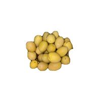 Olive Verdi Grecia super Super Mammoth Latta Da 5 Kg