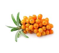 Olivello Spinoso Frutti 100 Gr