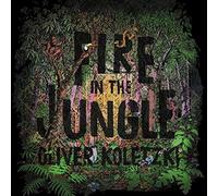 Koletzki Oliver - Fire In The Jungle