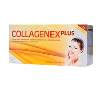 Oliverio Stilo Company Integratore Collagenex Plus collagene e vitamine, 10 flaconi