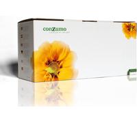 Olivetti PG-L245 Toner Black