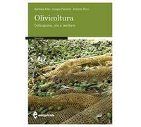 Olivicoltura. Coltivazione, olio e territorio