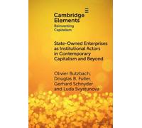 Olivier Butzbach Douglas State-Owned Enterprises as Institutional A (Tascabile)
