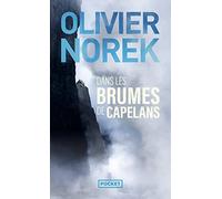 Olivier Norek Dans les brumes de Capelans (Tascabile)